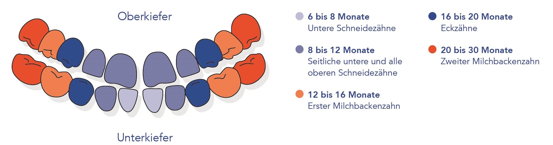 Kinderzahngesundheit