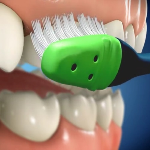 Nuage de mots en forme de tube de dentifrice mettant l'accent sur « nitrate de potassium », avec des termes tels que « anti-gingivite », « anti-caries » et « dentifrice »