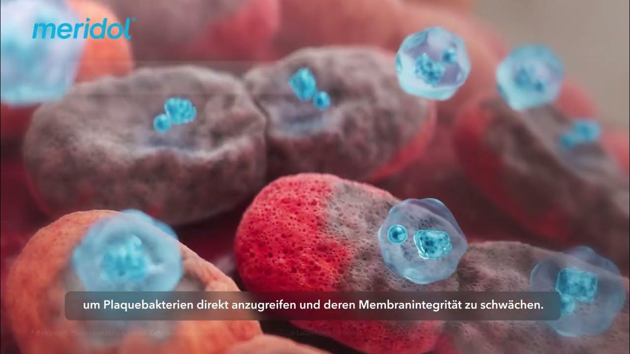 Nuage de mots en forme de tube de dentifrice, avec des termes tels que « nitrate de potassium », « anti-gingivite » et « protection contre les caries ».