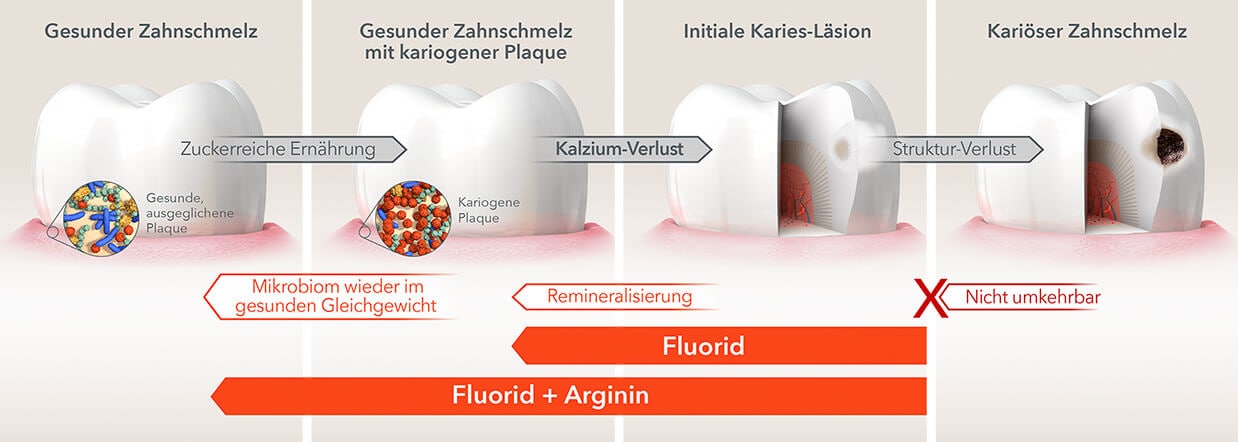 Vorbeugung, Erhaltung & Behandlung