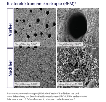 Vorbeugung, Erhaltung & Behandlung