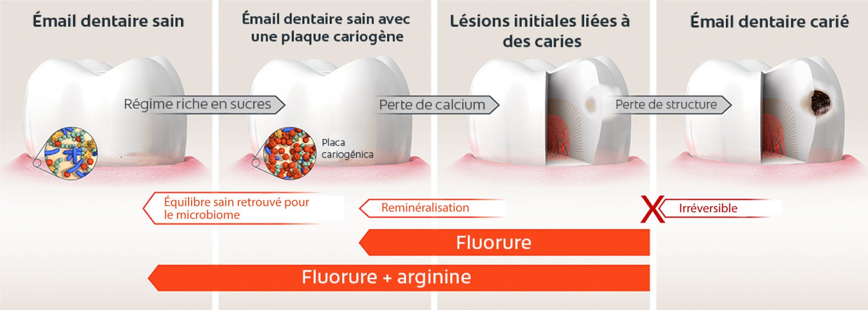 Prévention, maintien et traitement